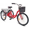 Взрослый трехколесный велосипед Stels Energy I 26