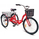 Взрослый трехколесный велосипед Stels Energy I 26 V020