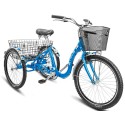 Взрослый трехколесный велосипед Stels Energy IV 24" V020